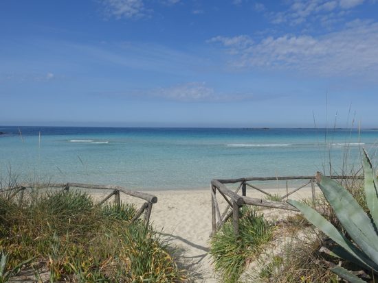 2024/05 Scalo di Furno (Apulien, Italien)